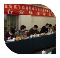 2006年3月10日，“產(chǎn)生負(fù)離子功能粉體及相關(guān)建材制品測試方法”行業(yè)標(biāo)準(zhǔn)審查會在北京召開。